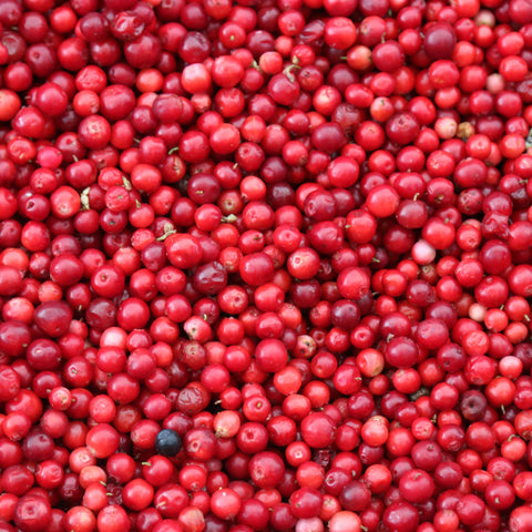 How To Make A Sugared Cranberry Garnish For Drinks
